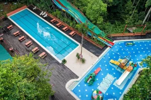 1 Borneo Tropical Rainforest