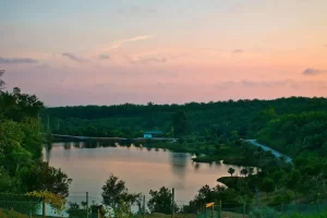 11 Borneo Tropical Rainforest