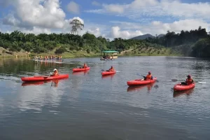 15 Borneo Tropical Rainforest