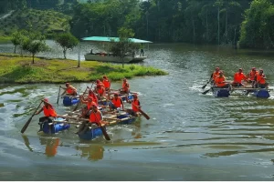 16 Borneo Tropical Rainforest