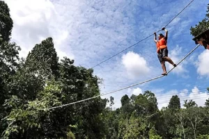 18 Borneo Tropical Rainforest