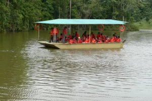 8 Borneo Tropical Rainforest
