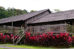 Long House Lambir